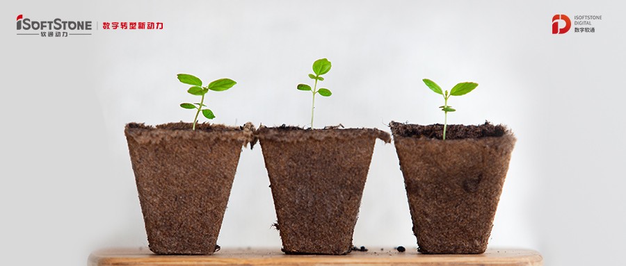 ���������������� ����ת��������ͯ����7790�ط����Ŷ����ٴ������������